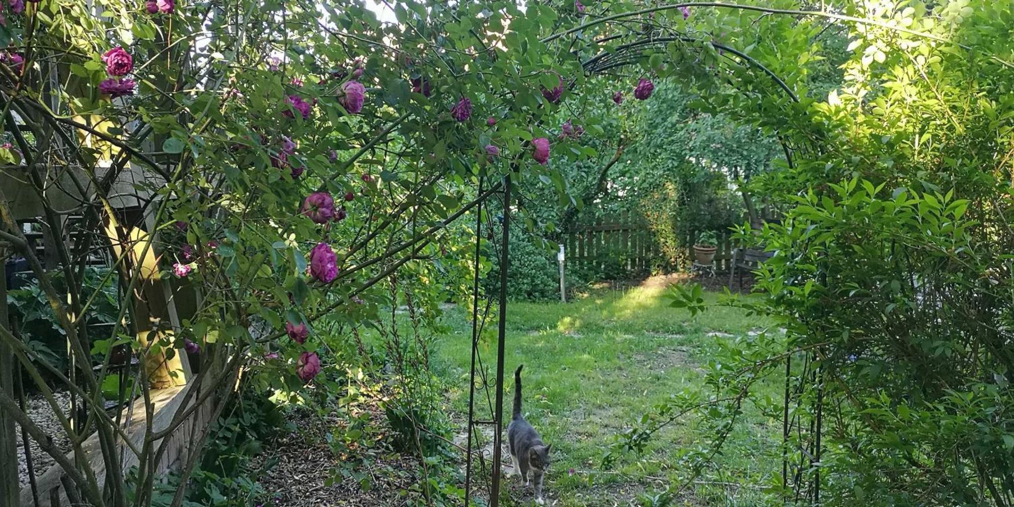 Appartamento Landidyll Bulstedt Esterno foto